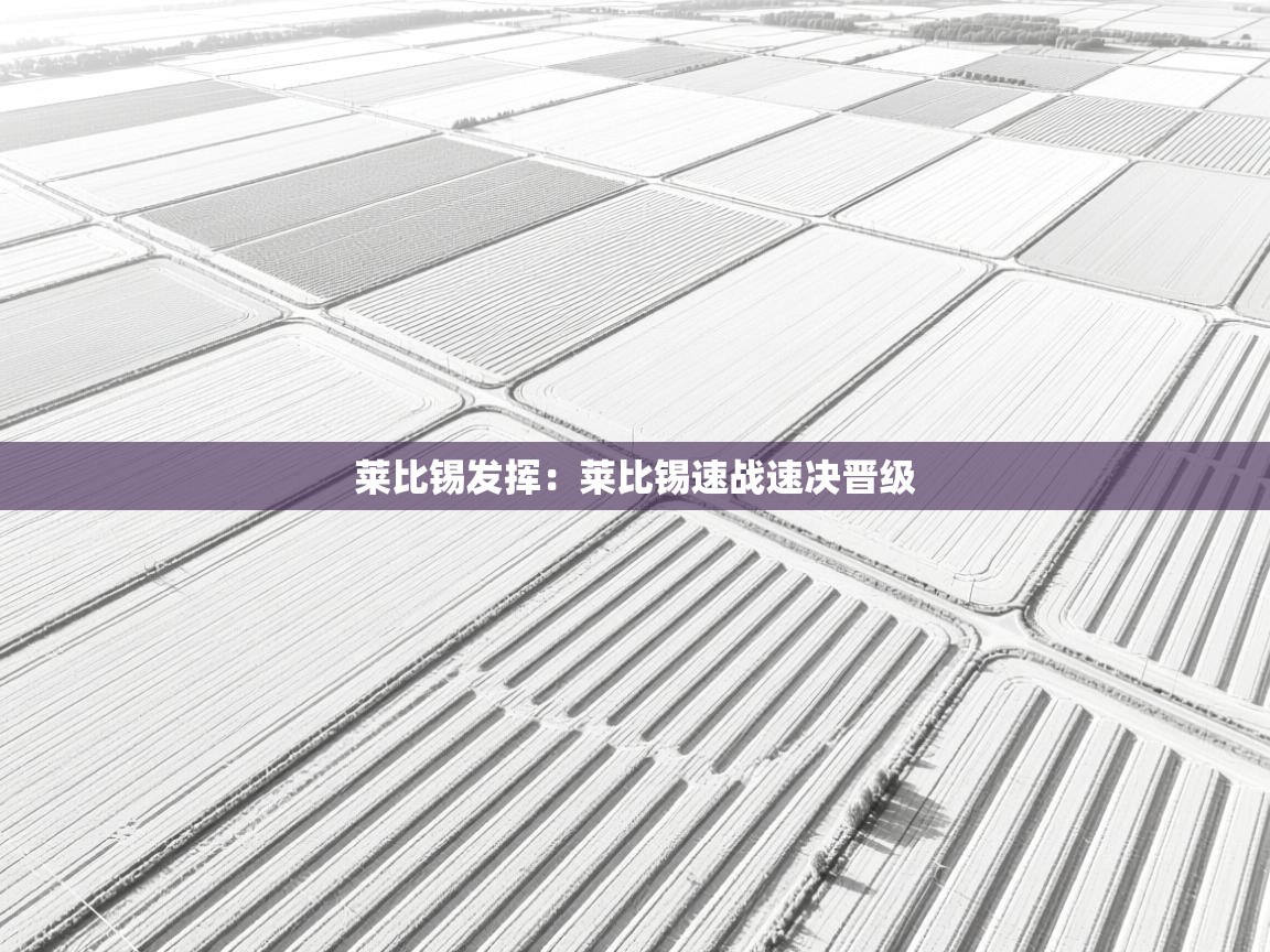 莱比锡发挥:莱比锡速战速决晋级